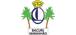 CÂMARA MUNICIPAL DE BACURI